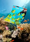 Các loài cá - Thế giới diệu kì dưới nước