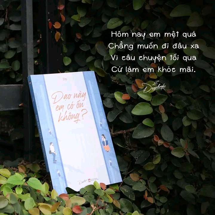 Dạo này em có ổn không?