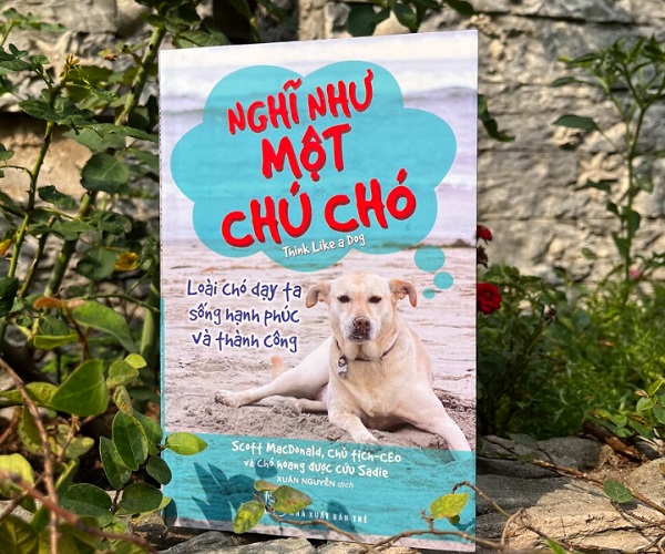 Nghĩ như một chú chó