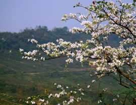 hfhf-3.jpg