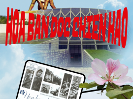 Hoa Ban dọc chiến hào