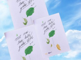 Một mai tan biến giữa đời