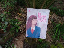 Từ khung cửa sổ lớp 7D